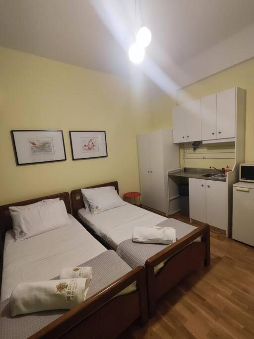 Syntagma Apartment C1 アテネ エクステリア 写真
